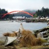 Bridge Bridge