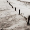 Assateague Assateague