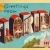 state fla state fla